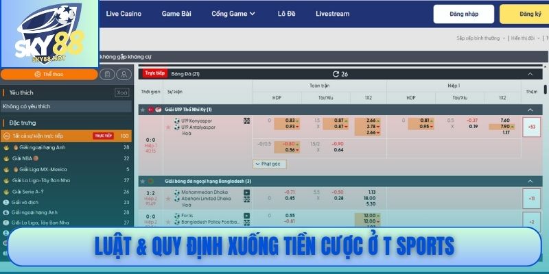 T Sports Mở Rộng Trải Nghiệm Cược Thể Thao Chuẩn Quốc Tế 3 Luật & quy định xuống tiền cược ở T Sports